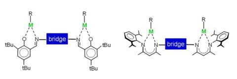 Zum Artikel "Bimetallic Catalysis"