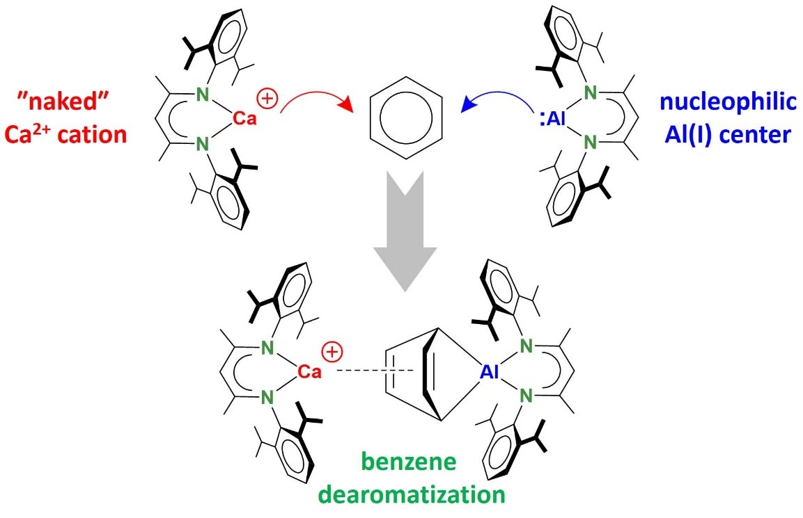 molecule-activation-with-s-block-and-p-block-combinations-lehrstuhl